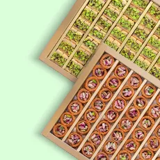 Picture for category Pistachio Baklava